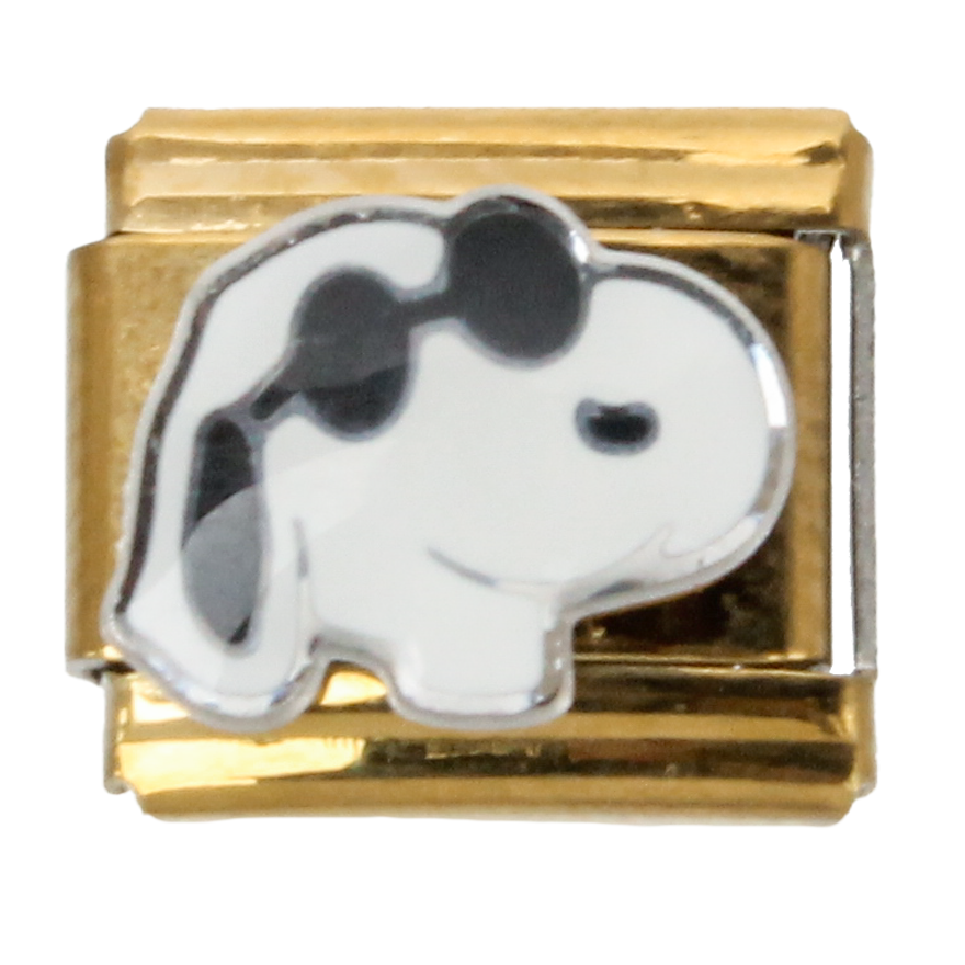 Snoopy - Charm