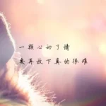 Bản sao cảm xúc Những câu ngắn ngủi của trái tim, bản sao đáng buồn nhất