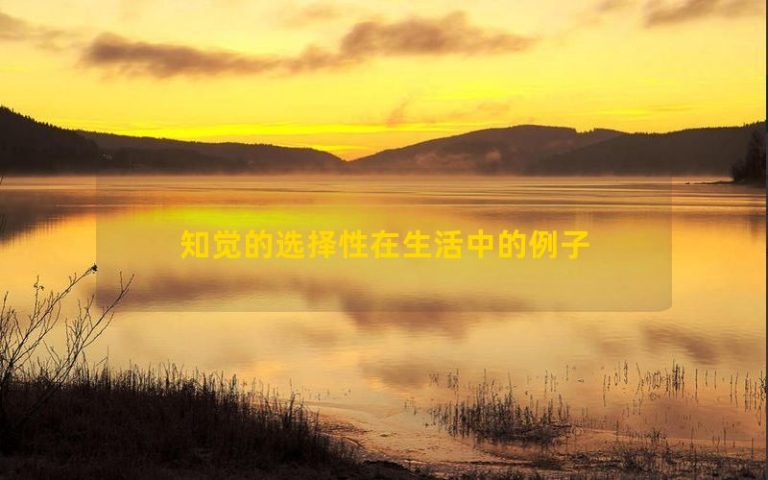 Ví dụ về sự chọn lọc nhận thức trong cuộc sống