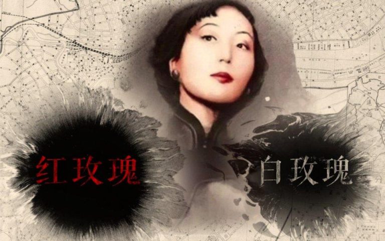 Zhang ốm yếu nói gì về hoa hồng đỏ và hoa hồng trắng?